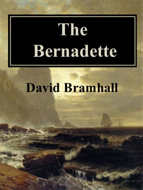 Cover of the book The Bernadette by David Bramhall, David Bramhall