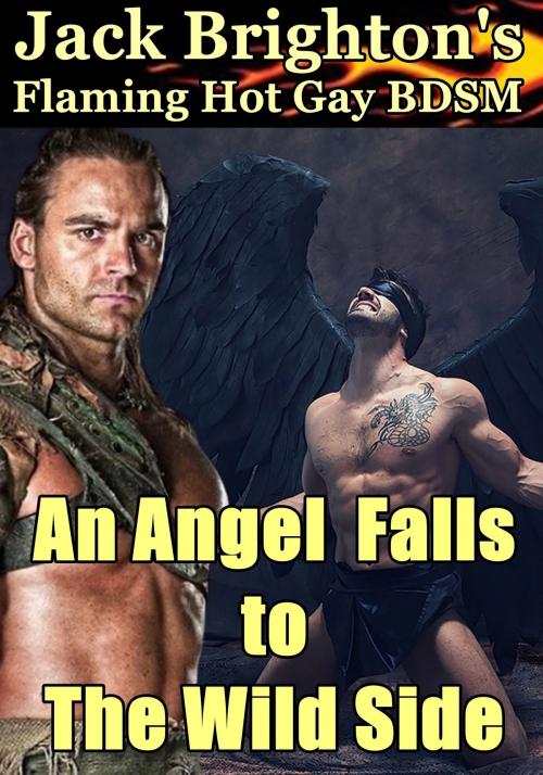 Cover of the book An Angel Falls to The Wild Side by Jack Brighton, Firm Hand Books