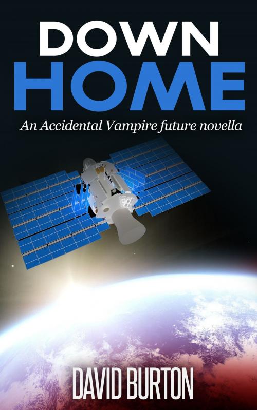 Cover of the book Down Home by David Burton, David Burton