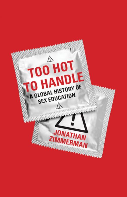 Cover of the book Too Hot to Handle by Jonathan Zimmerman, Princeton University Press