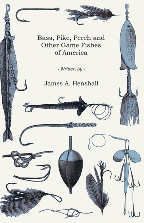 Cover of the book Bass, Pike, Perch and Other Game Fishes of America by James A. Henshall, Read Books Ltd.