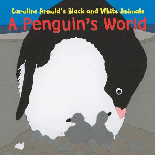 Cover of the book A Penguin's World by Caroline Arnold, Capstone