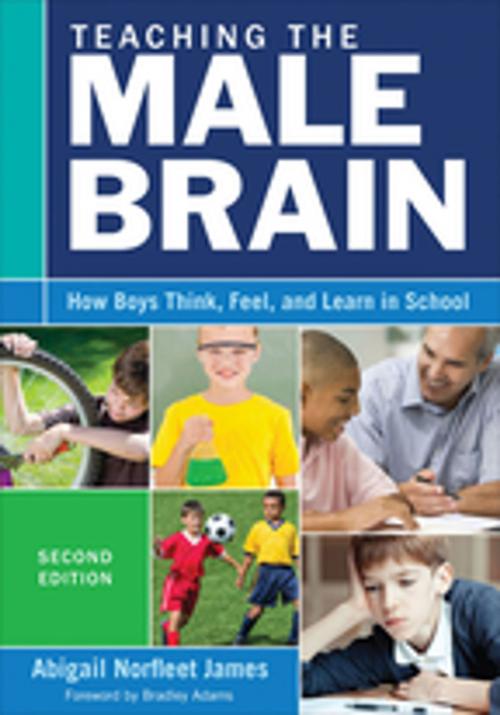 Cover of the book Teaching the Male Brain by , SAGE Publications