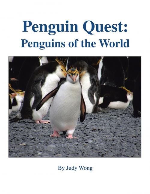 Cover of the book Penguin Quest: by Judy Wong, Trafford Publishing