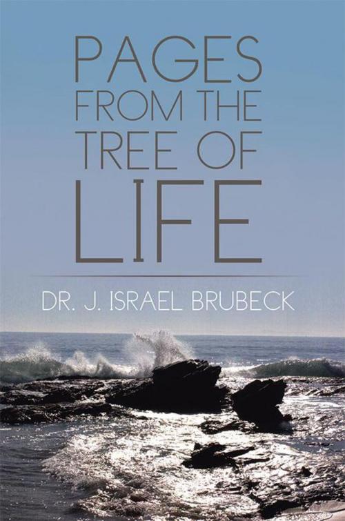 Cover of the book Pages from the Tree of Life by Dr. J. Israel Brubeck, Xlibris US