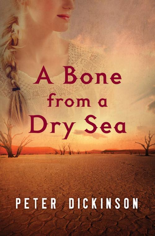 Cover of the book A Bone from a Dry Sea by Peter Dickinson, Open Road Media