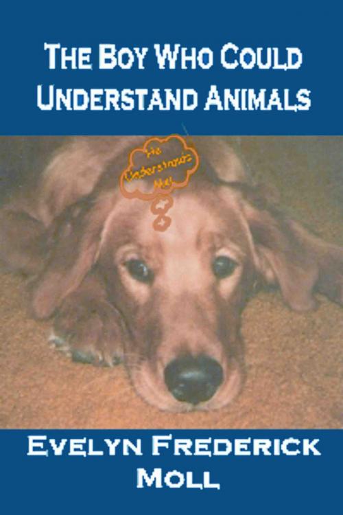 Cover of the book The Boy Who Could Understand Animals by Evelyn Frederick Moll, Write Words Inc.