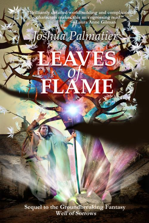 Cover of the book Leaves of Flame by Joshua Palmatier, Baen Books