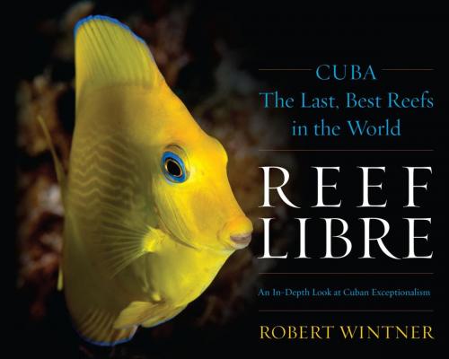 Cover of the book Reef Libre by Robert Wintner, Taylor Trade Publishing