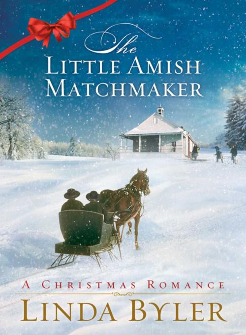 Cover of the book Little Amish Matchmaker by Linda Byler, Good Books