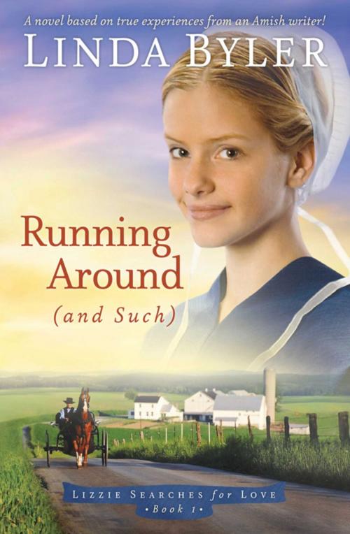 Cover of the book Running Around (and such) by Linda Byler, Good Books