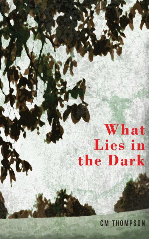 Cover of the book What Lies in the Dark by CM Thompson, Start Publishing LLC