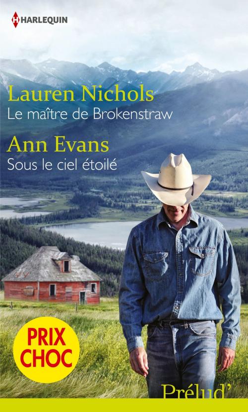 Cover of the book Le maître de Brokenstraw - Sous le ciel étoilé by Lauren Nichols, Ann Evans, Harlequin