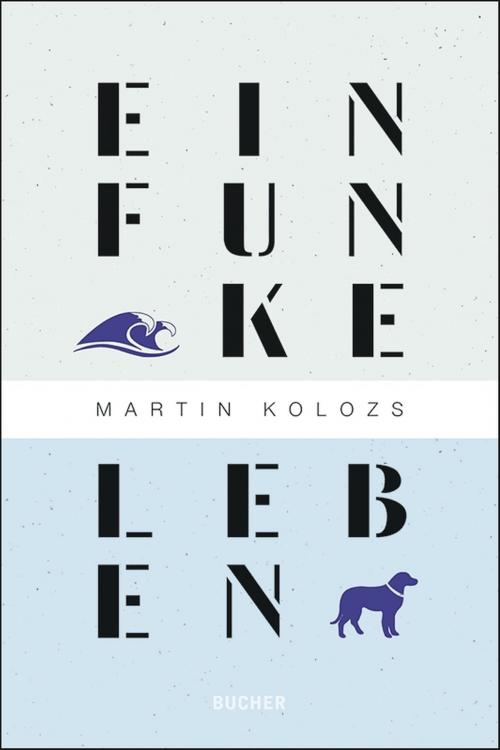 Cover of the book Ein Funke Leben by Martin Kolozs, Bucher GmbH & Co. Druck Verlag Netzwerk