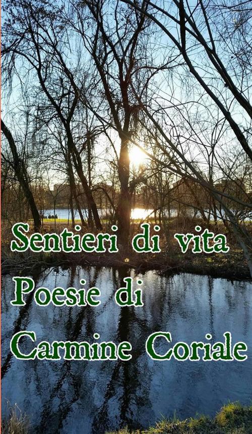 Cover of the book Sentieri di vita by Carmine Coriale, Carmine Coriale