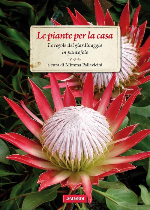 Cover of the book Le piante per la casa by Mimma Pallavicini, VALLARDI