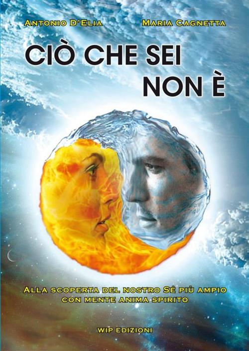 Cover of the book Ciò che sei non è by Antonio D'Elia, Maria Cagnetta, Wip Edizioni