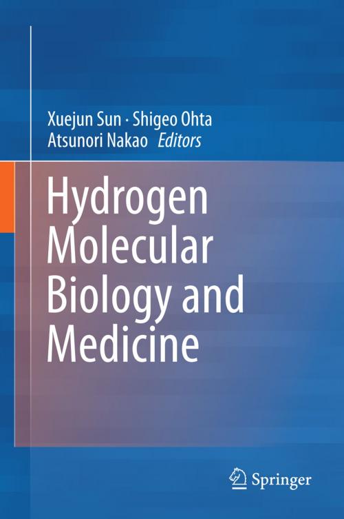 Cover of the book Hydrogen Molecular Biology and Medicine by , Springer Netherlands