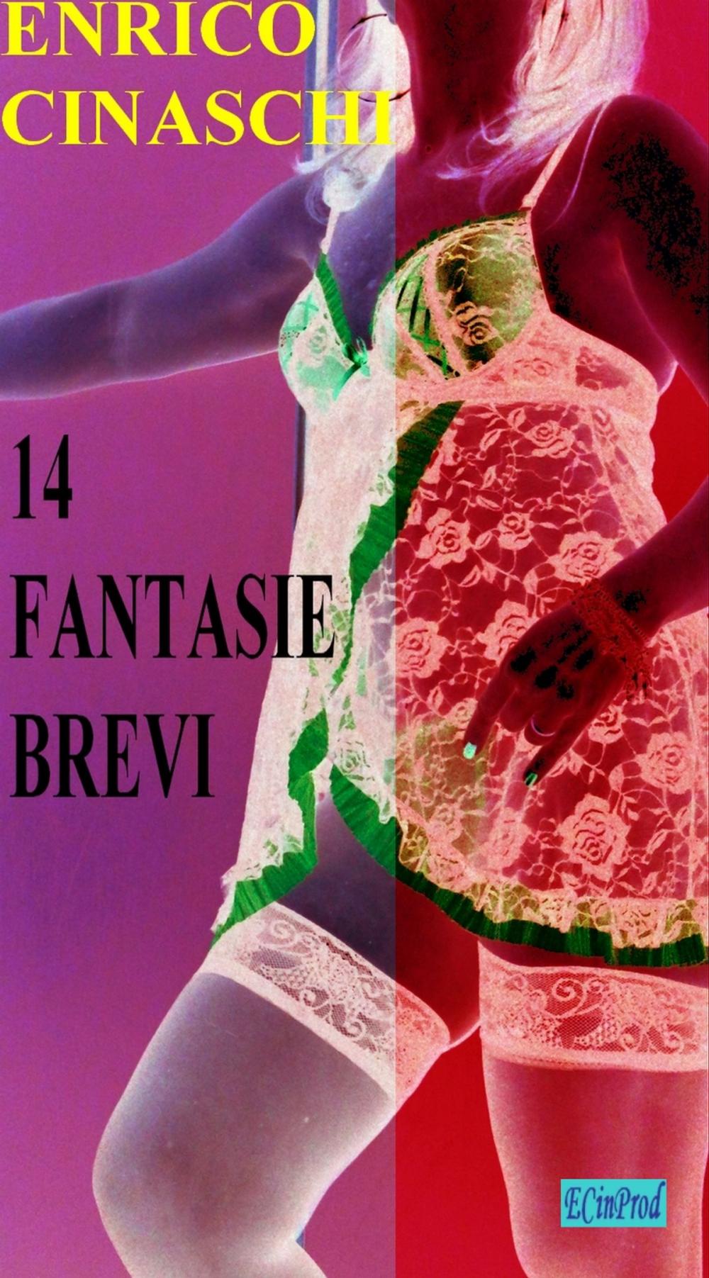 Big bigCover of 14 fantasie brevi