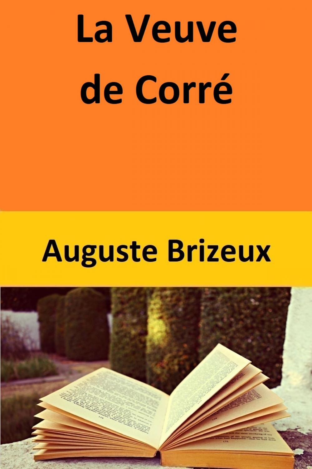 Big bigCover of La Veuve de Corré