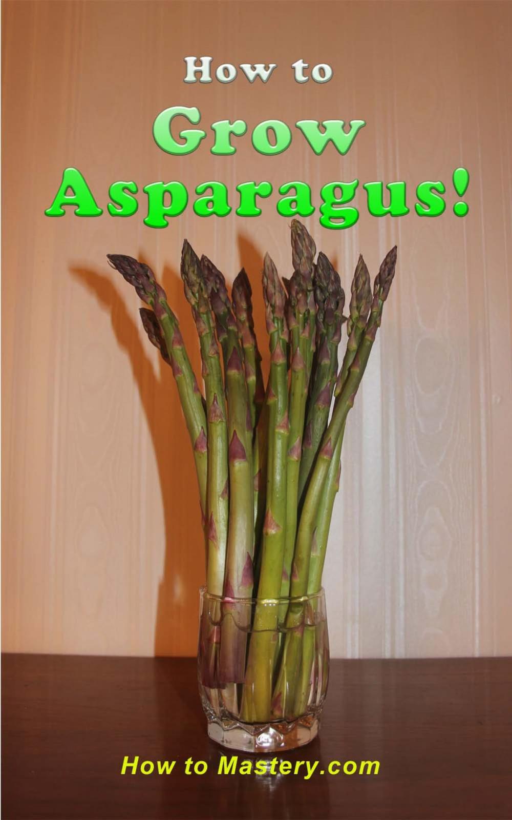 Big bigCover of How to Grow Asparagus