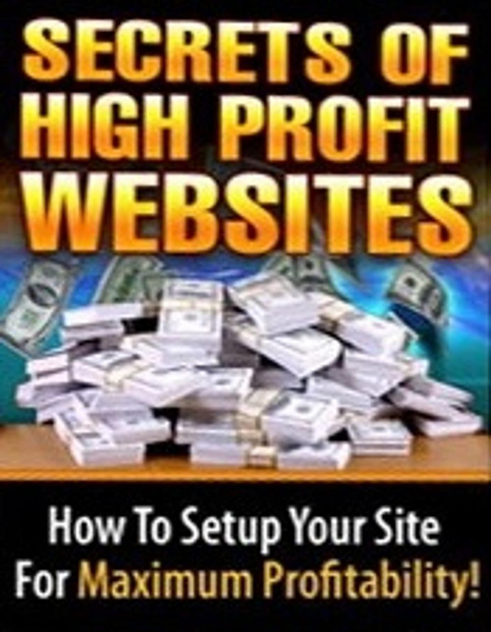 Big bigCover of The Secrets of High Profit Websites