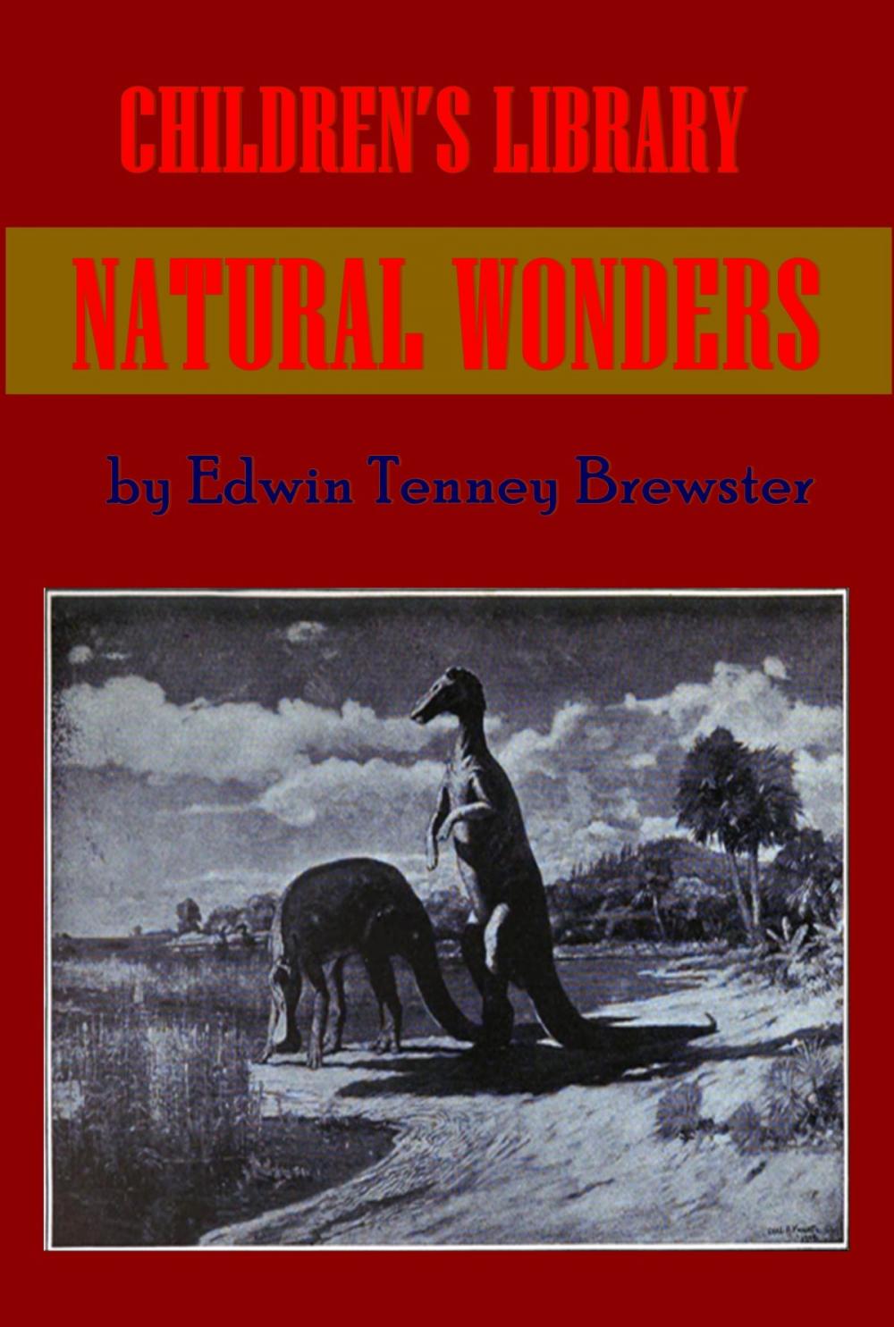 Big bigCover of CHILDREN’S LIBRARY - Natural Wonders (Illustrated)