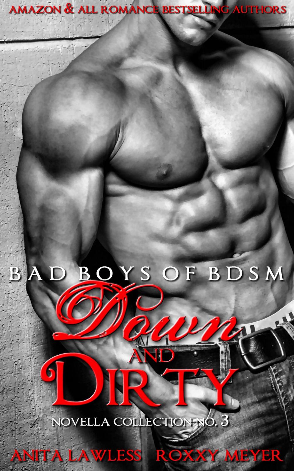 Big bigCover of Down and Dirty: Bad Boys of BDSM Novella Collection No. 3