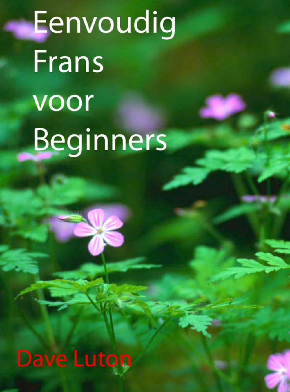 Big bigCover of Eenvoudig Frans voor Beginners