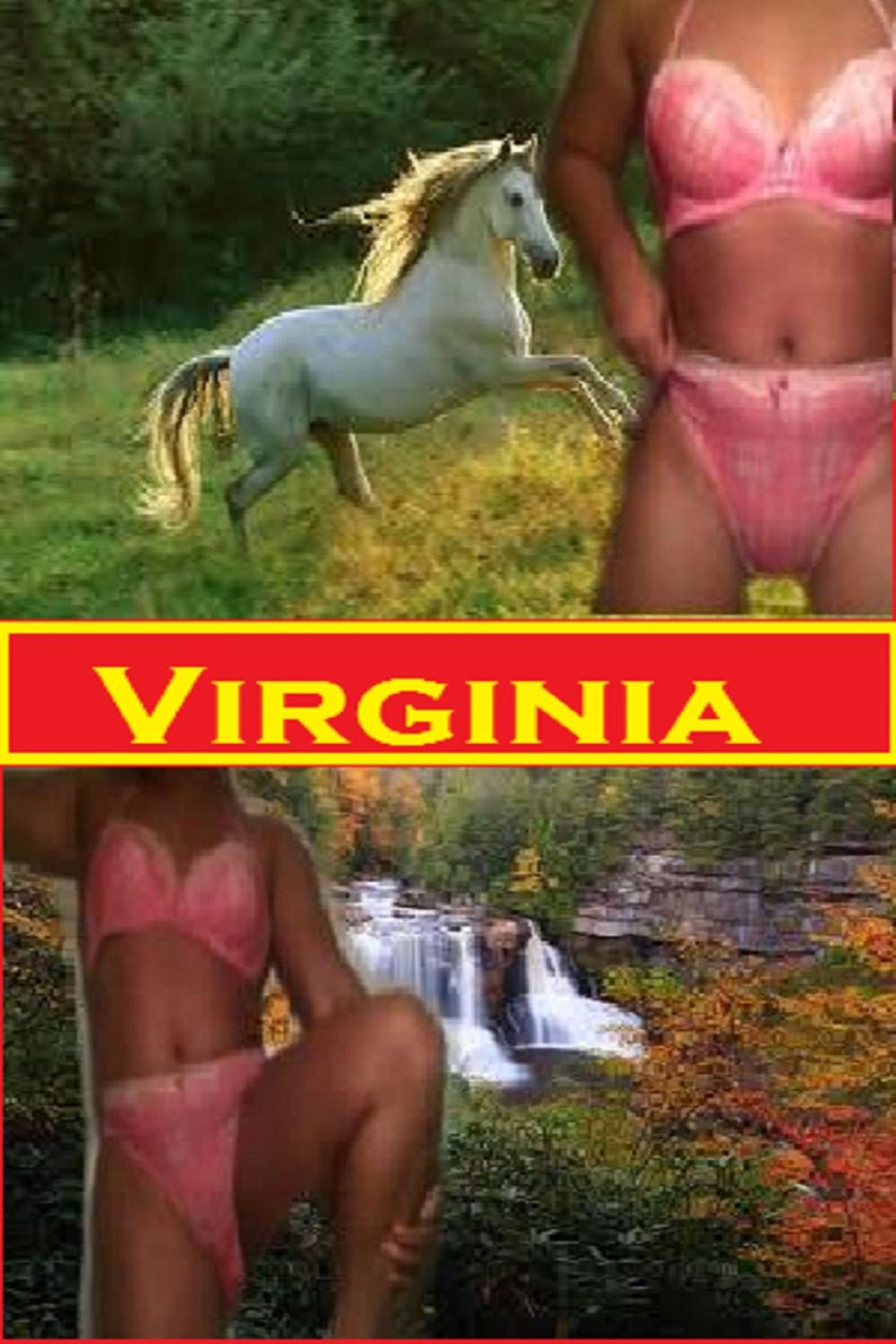 Big bigCover of Virginia Gone Wild: