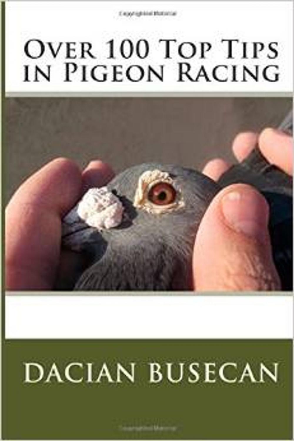 Big bigCover of Over 100 Top Tips in Pigeon Racing