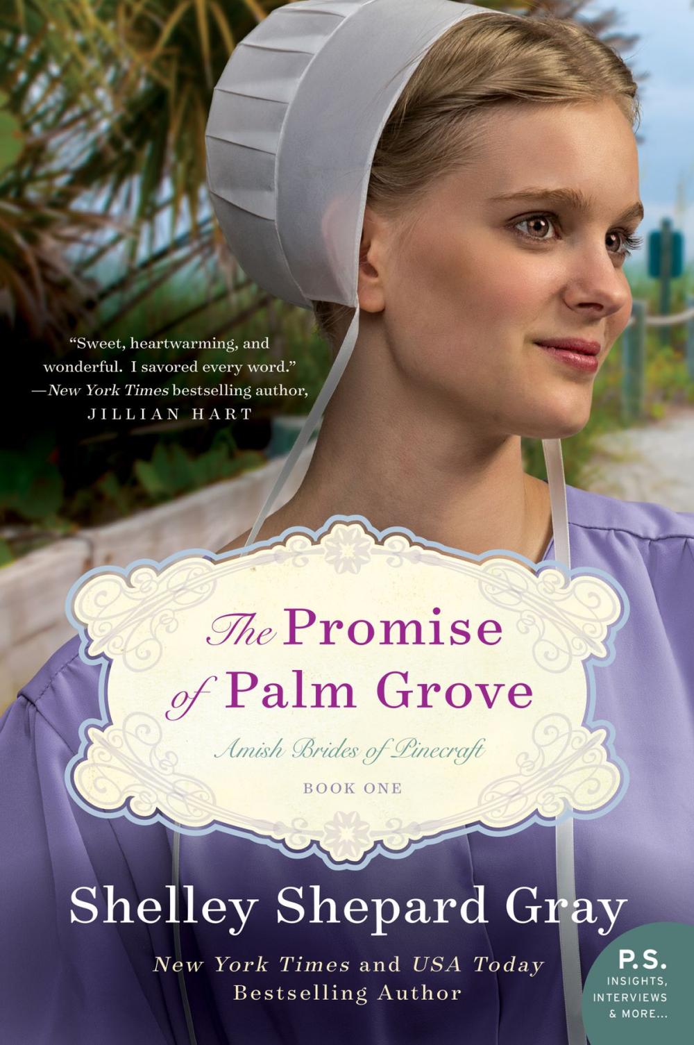 Big bigCover of The Promise of Palm Grove