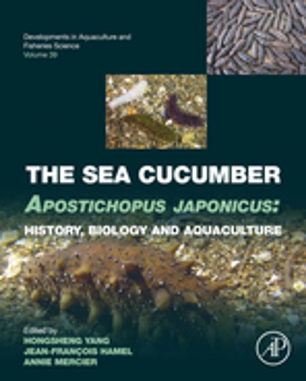 Big bigCover of The Sea Cucumber Apostichopus japonicus