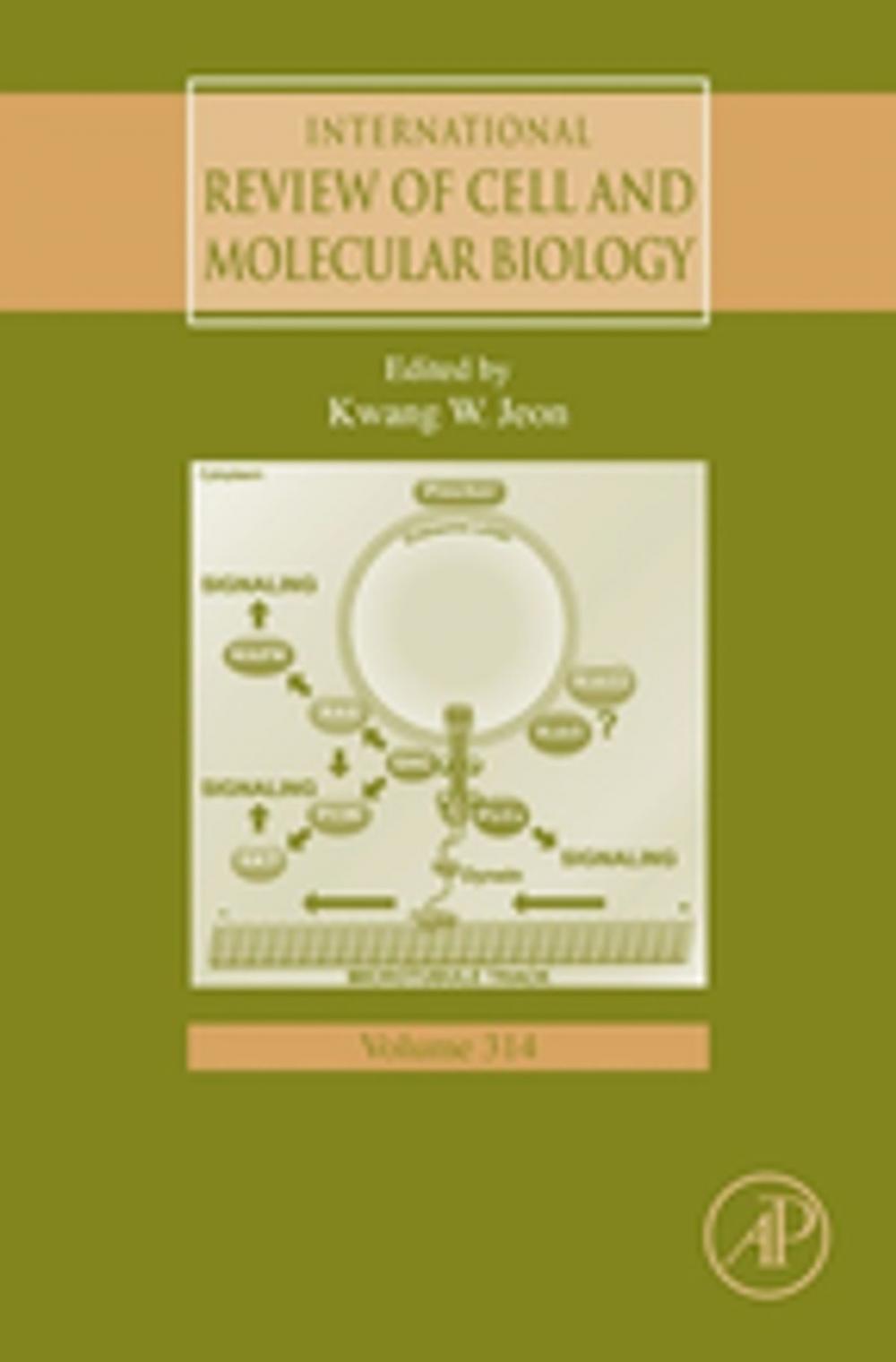 Big bigCover of International Review of Cell and Molecular Biology