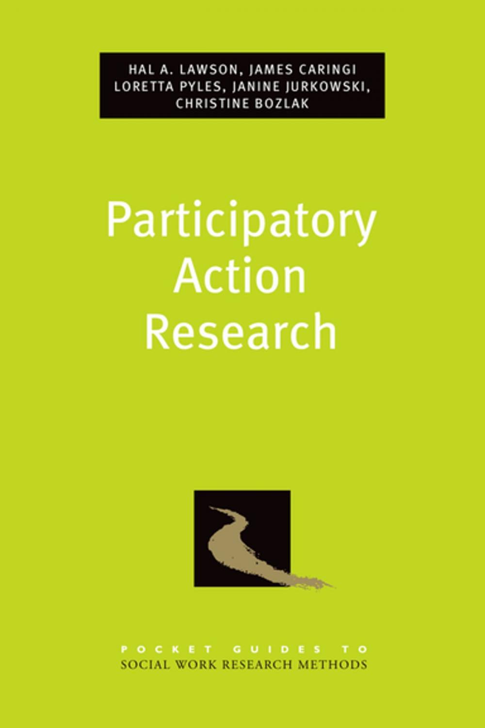 Big bigCover of Participatory Action Research