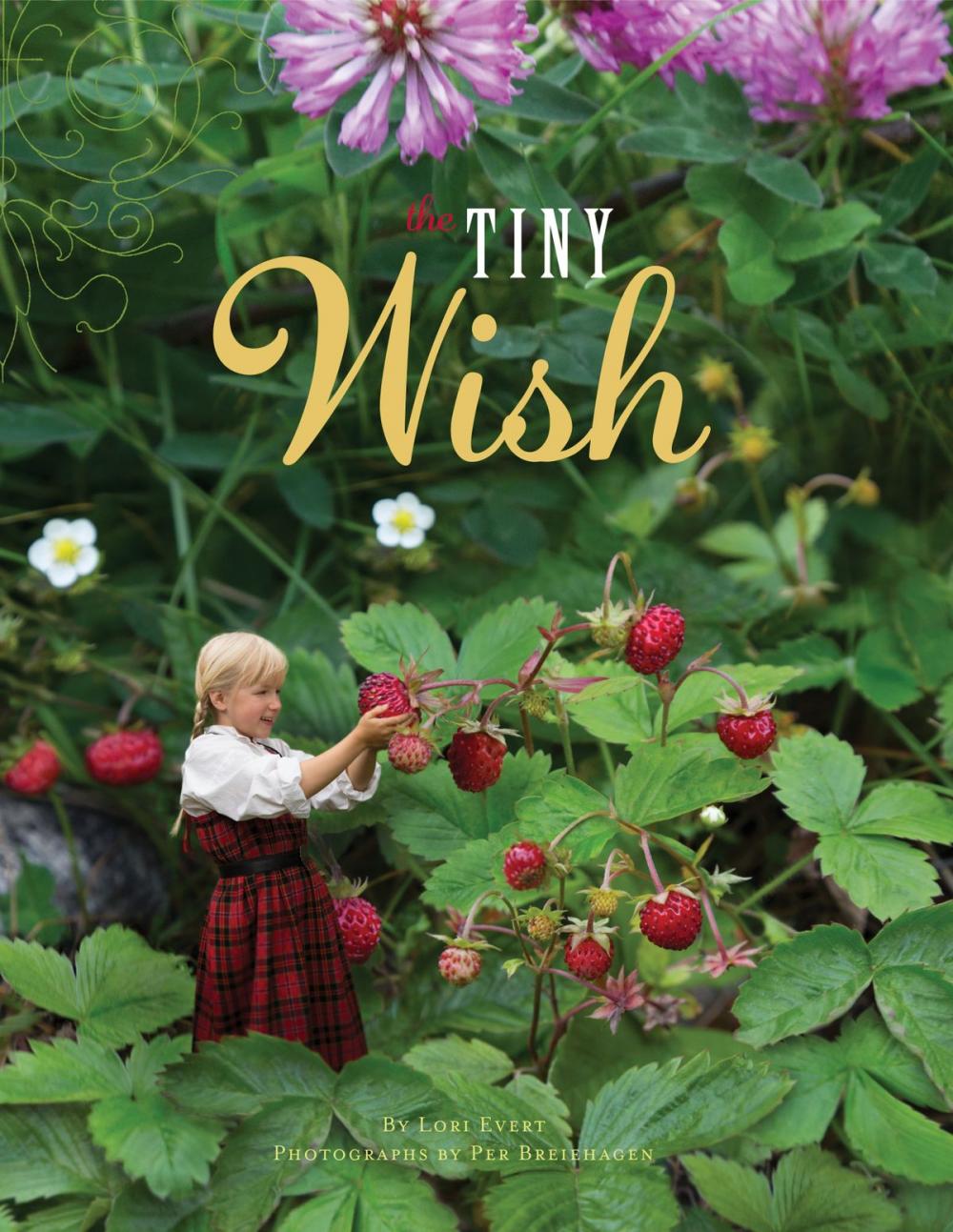 Big bigCover of The Tiny Wish