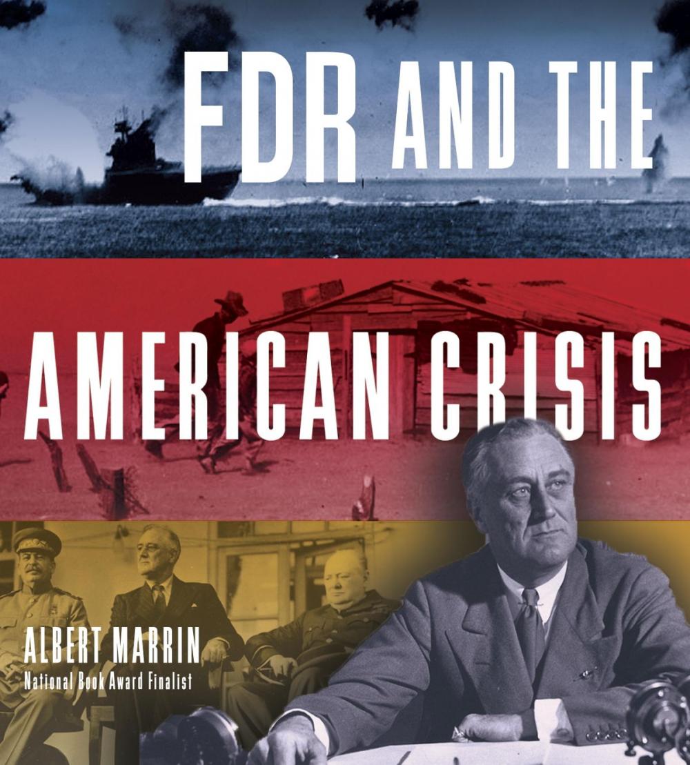 Big bigCover of FDR and the American Crisis