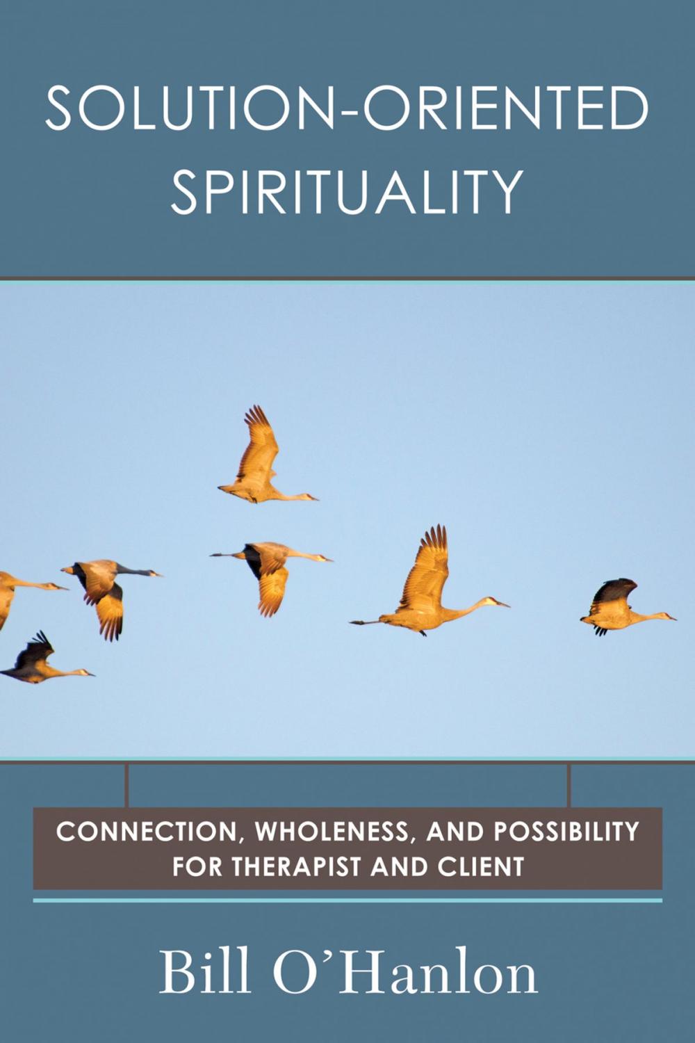 Big bigCover of Solution-Oriented Spirituality: Connection, Wholeness, and Possibility for Therapist and Client