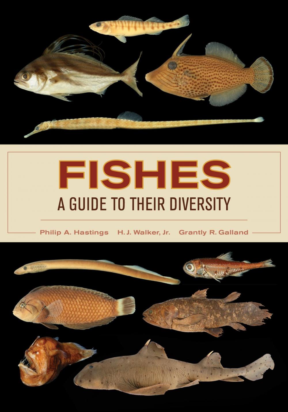 Big bigCover of Fishes: A Guide to Their Diversity