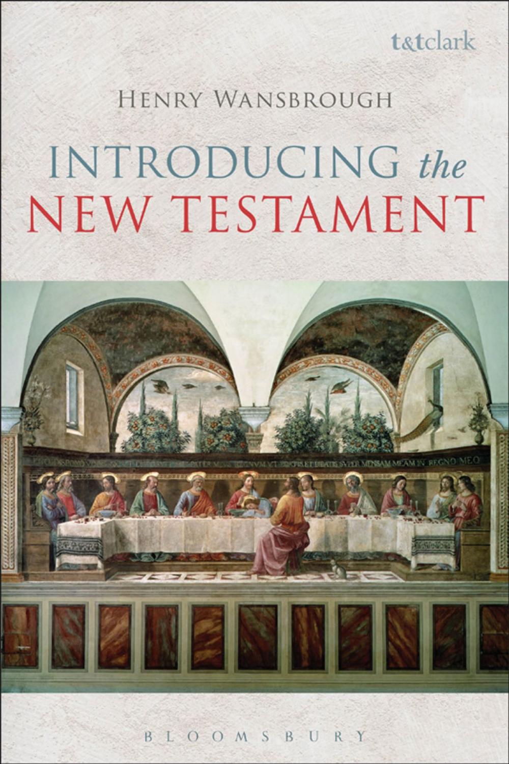 Big bigCover of Introducing the New Testament