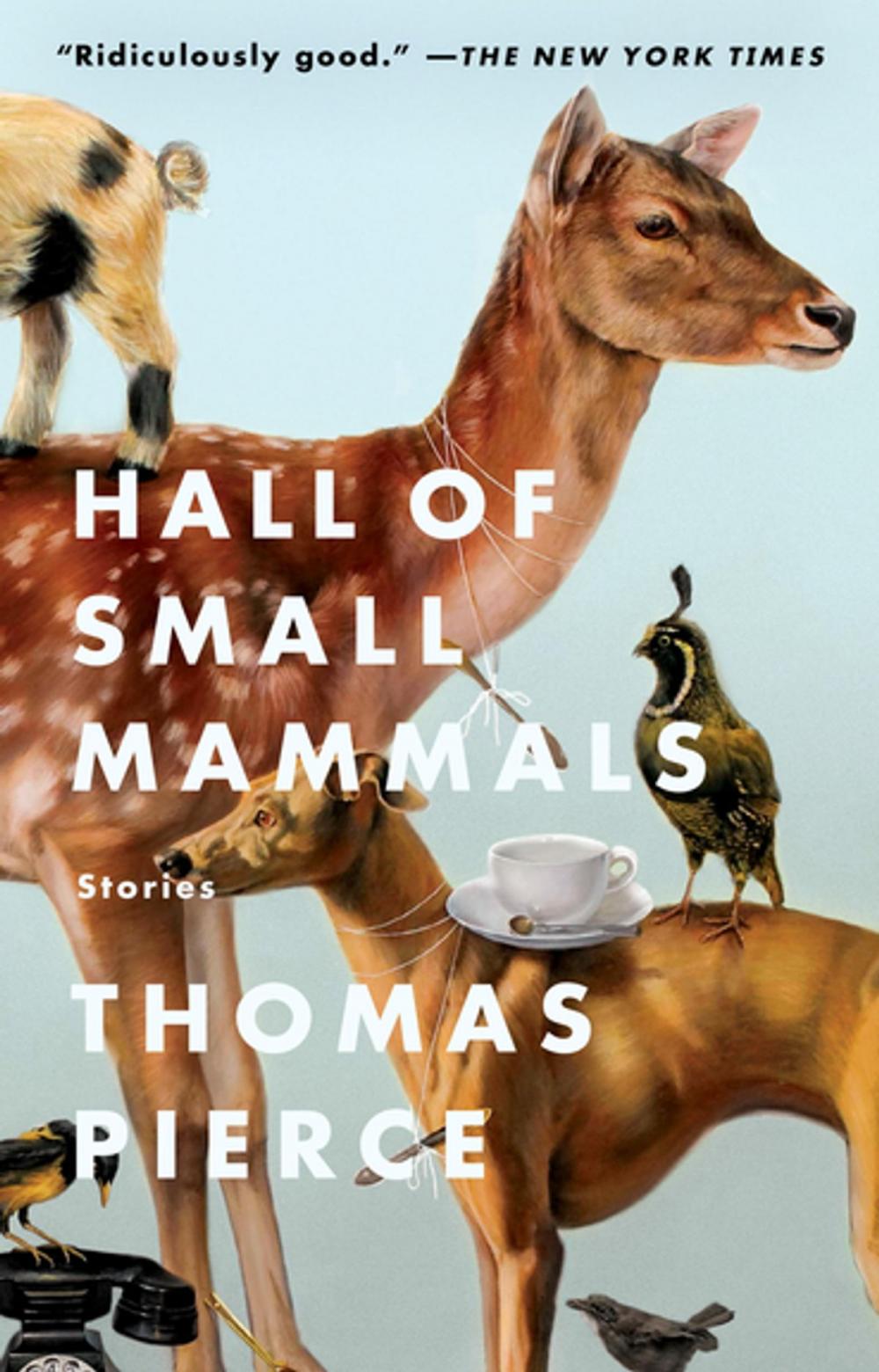 Big bigCover of Hall of Small Mammals