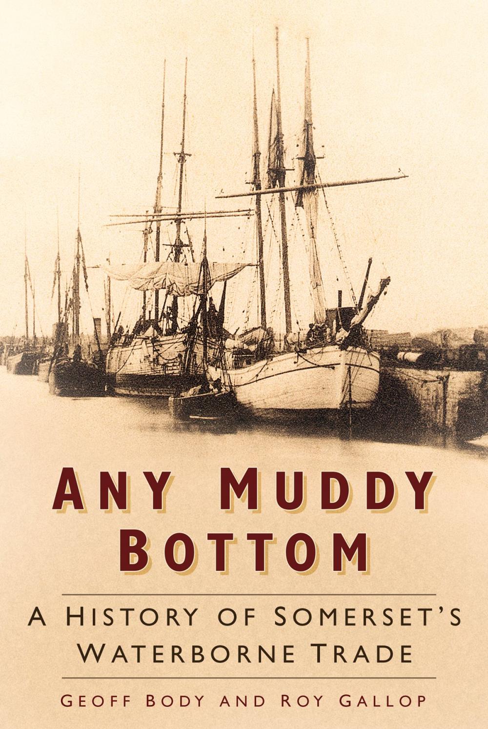 Big bigCover of Any Muddy Bottom