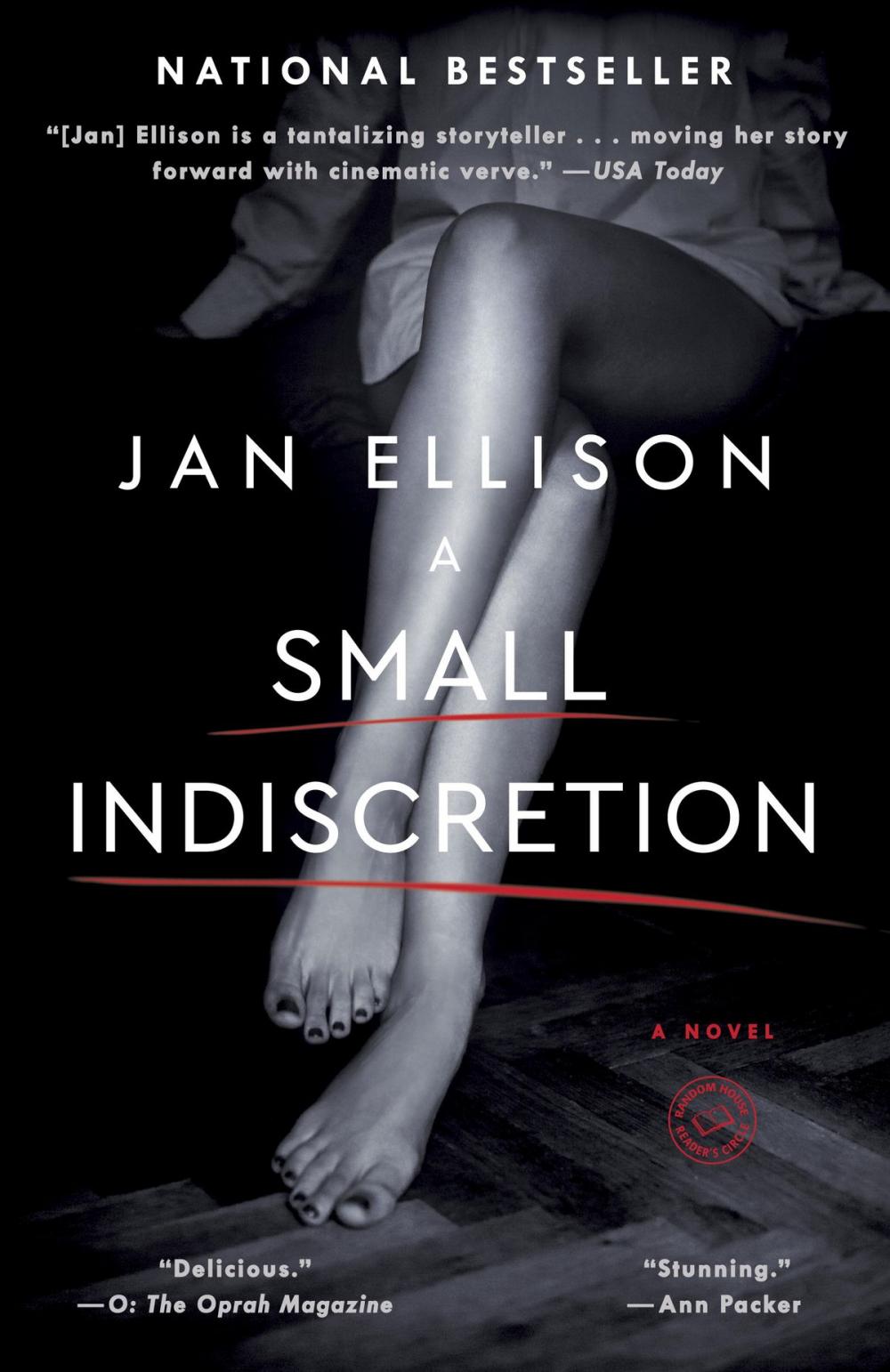 Big bigCover of A Small Indiscretion