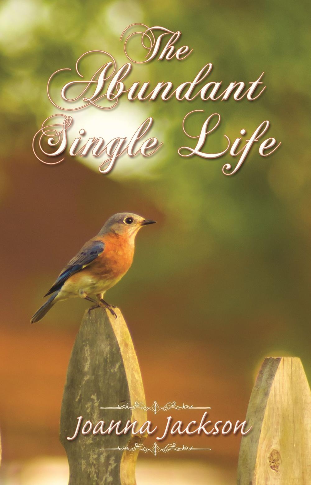 Big bigCover of The Abundant Single Life