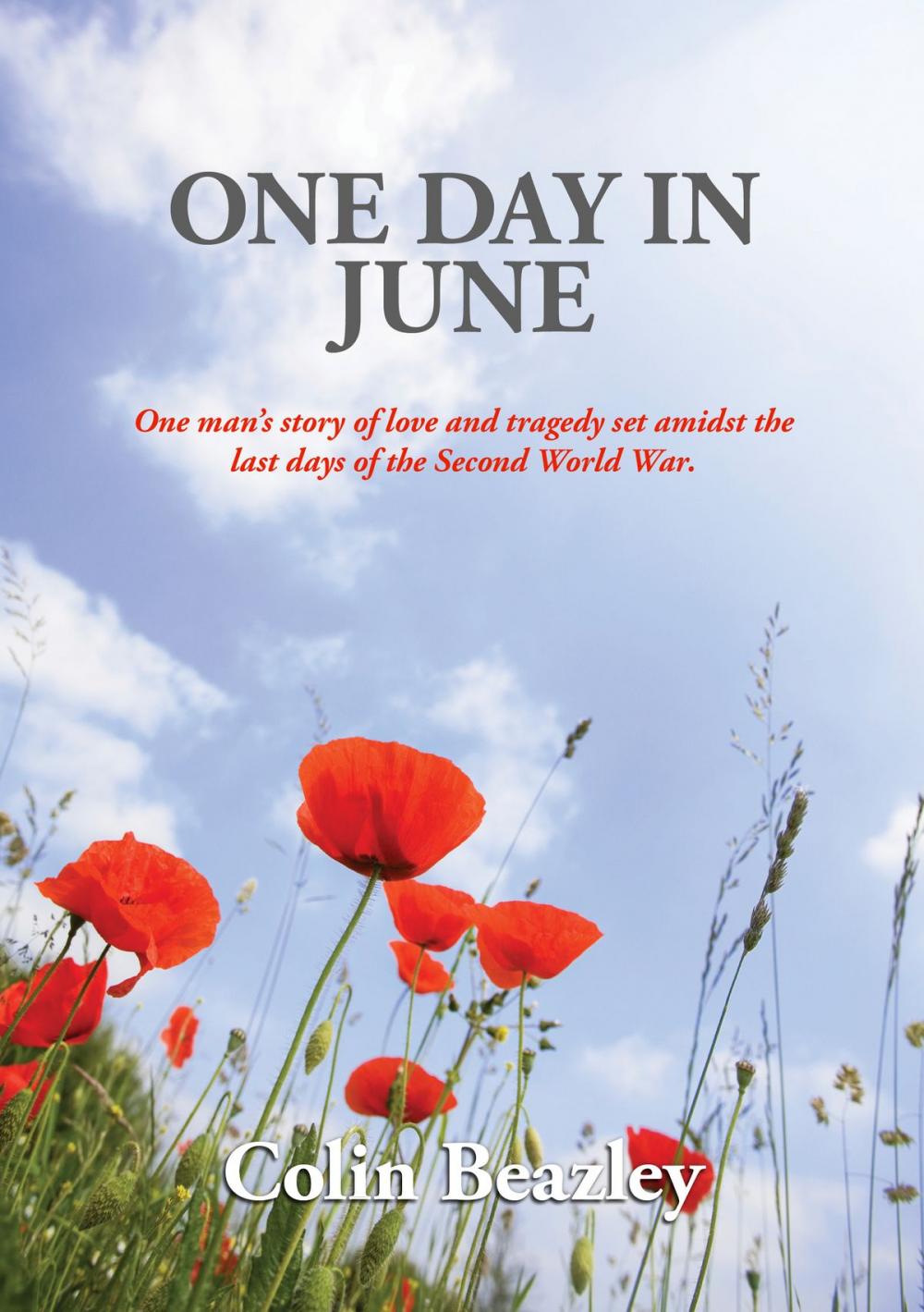 Big bigCover of One Day in June
