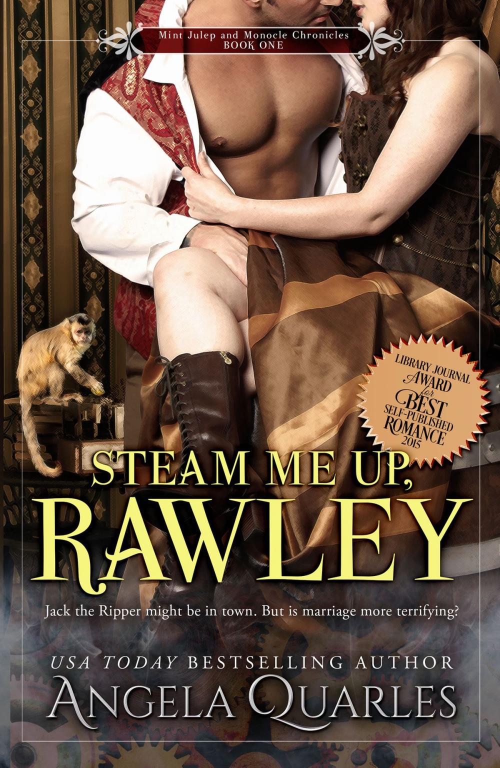 Big bigCover of Steam Me Up, Rawley