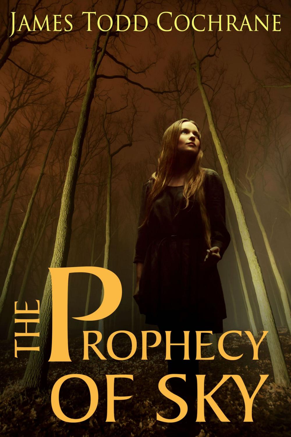 Big bigCover of The Prophecy of Sky