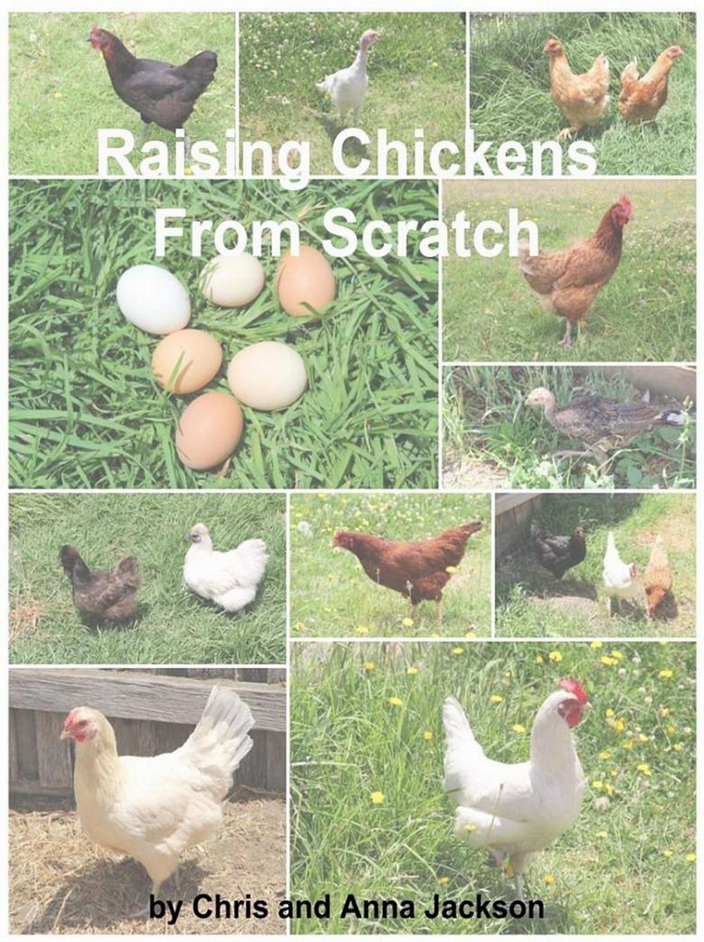 Big bigCover of Raising Chickens from Scratch