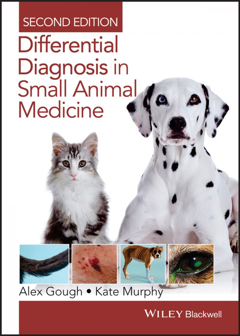 Big bigCover of Differential Diagnosis in Small Animal Medicine