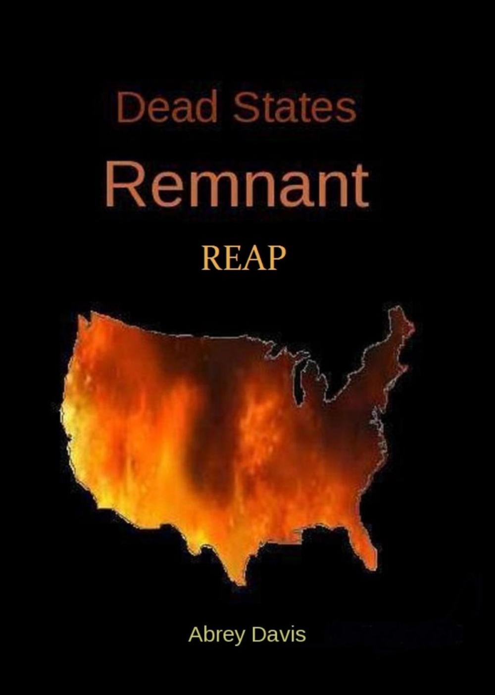 Big bigCover of Dead States: Remnant REAP